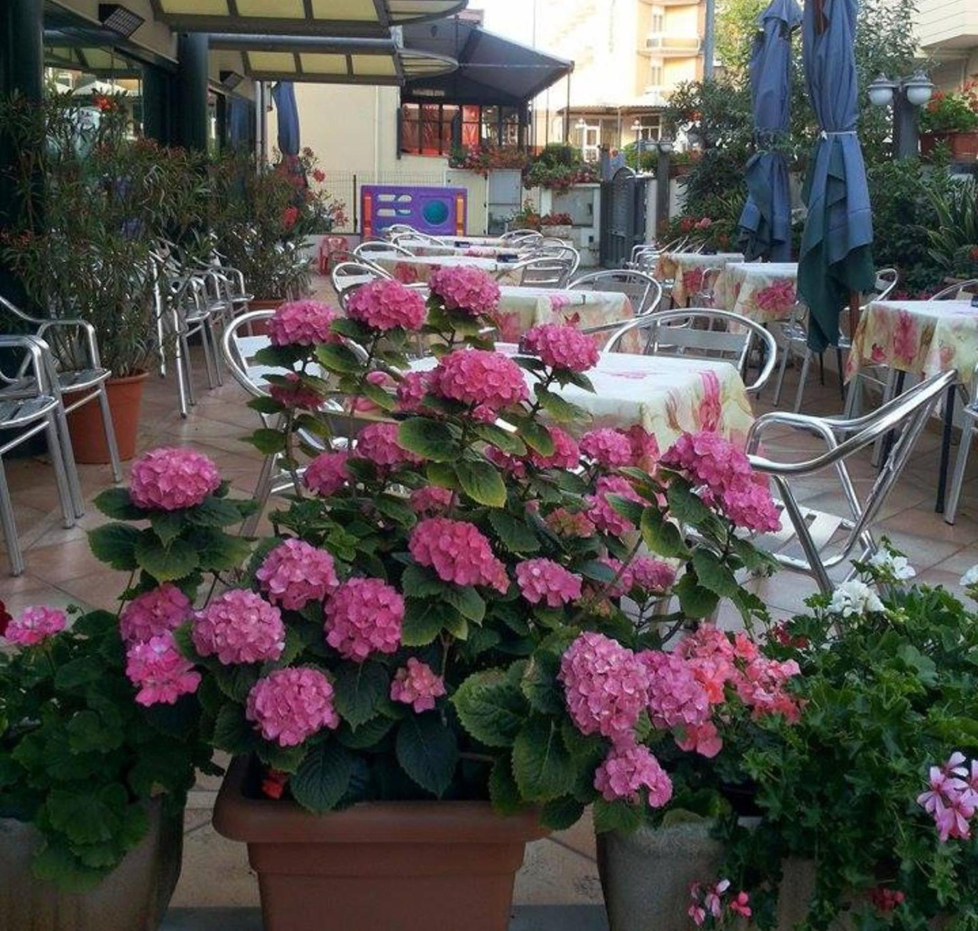 Hotel Caruso ريميني المظهر الخارجي الصورة
